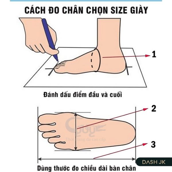 Hướng dẫn cách đo size giày Nữ chuẩn nhất